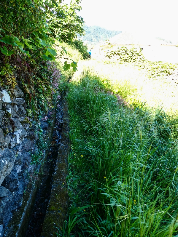 06.05.2019 Über den Pico da Coroa und die Boca do Risco — Von Maiata über Mostardal zur Levada da Fajazinha und zum Reservoir — Foto 12
