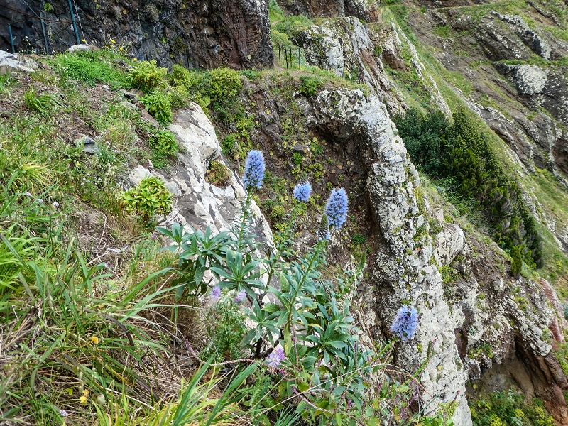 06.05.2019 Über den Pico da Coroa und die Boca do Risco — Auf dem Nordküstenweg nach Larano — Foto 13