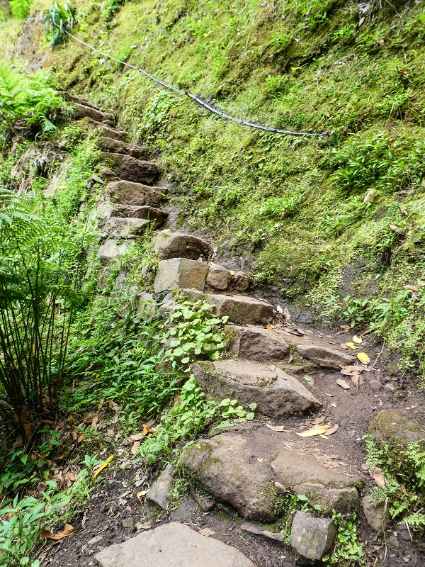 06.05.2019 Über den Pico da Coroa und die Boca do Risco — Auf dem Nordküstenweg nach Larano — Foto 24