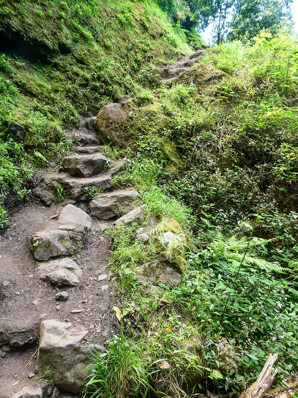 06.05.2019 Über den Pico da Coroa und die Boca do Risco — Auf dem Nordküstenweg nach Larano — Foto 25