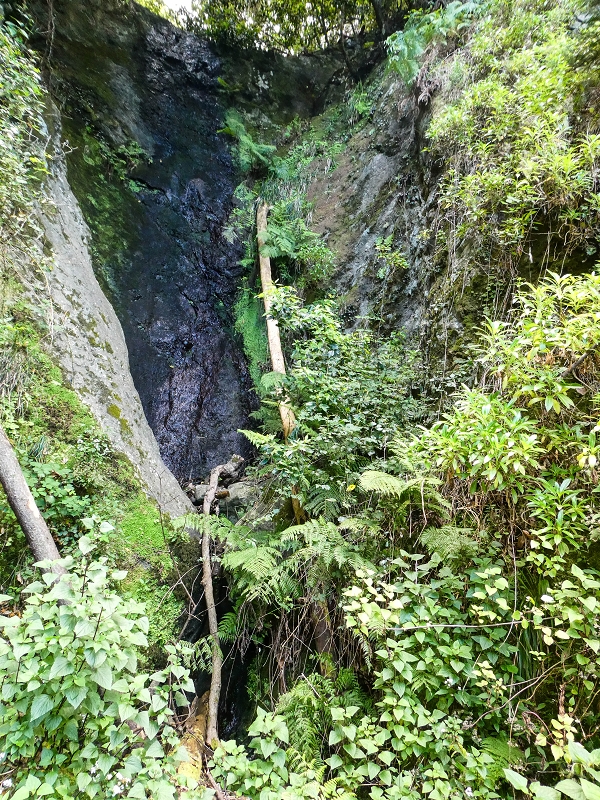 06.05.2019 Über den Pico da Coroa und die Boca do Risco — Auf dem Nordküstenweg nach Larano — Foto 26