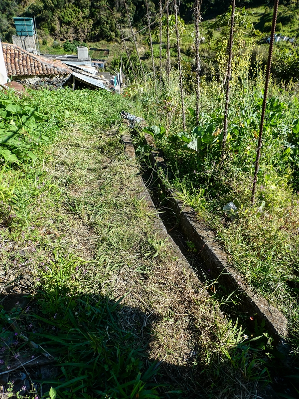 06.05.2019 Über den Pico da Coroa und die Boca do Risco — Von Maiata über Mostardal zur Levada da Fajazinha und zum Reservoir — Foto 15