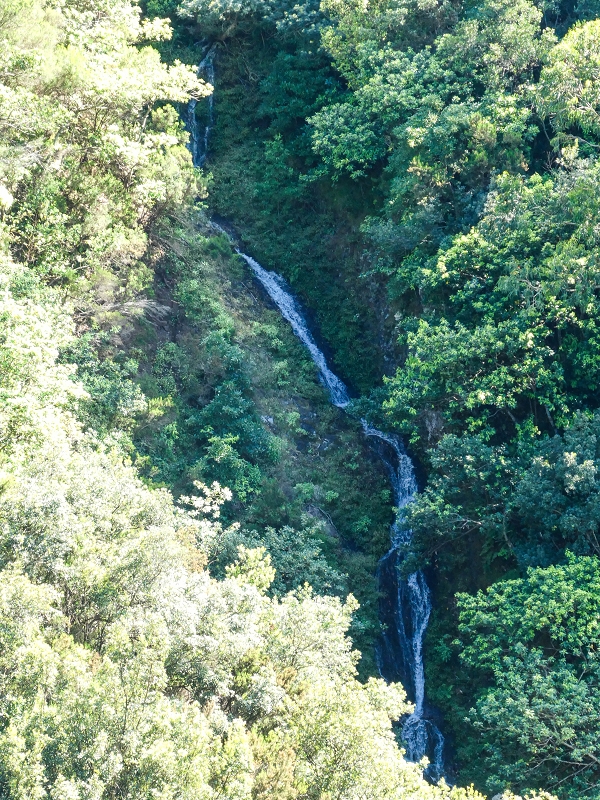 06.05.2019 Über den Pico da Coroa und die Boca do Risco — Zufluss zur Madre der Levada do Poco do Arvoredo — Foto 1