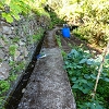 06.05.2019 Über den Pico da Coroa und die Boca do Risco — Von Maiata über Mostardal zur Levada da Fajazinha und zum Reservoir — Foto 16