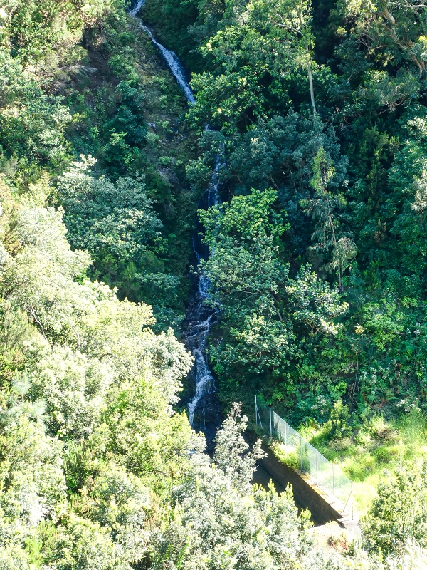 06.05.2019 Über den Pico da Coroa und die Boca do Risco — Zufluss zur Madre der Levada do Poco do Arvoredo — Foto 2
