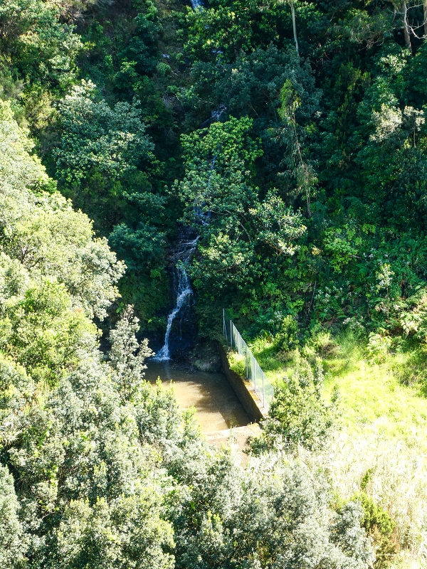 06.05.2019 Über den Pico da Coroa und die Boca do Risco — Zufluss zur Madre der Levada do Poco do Arvoredo — Foto 3