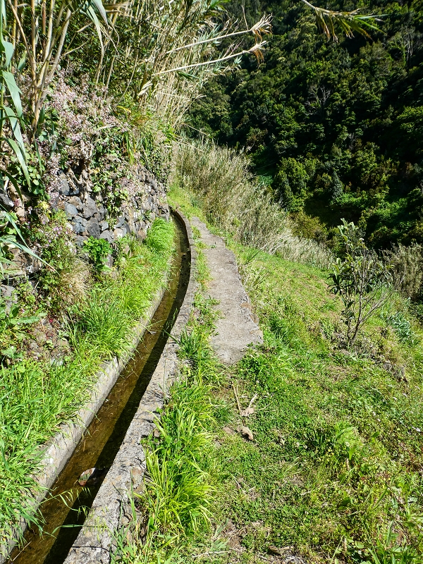 06.05.2019 Über den Pico da Coroa und die Boca do Risco — Auf der Levada do Poco do Arvoredo — Foto 1