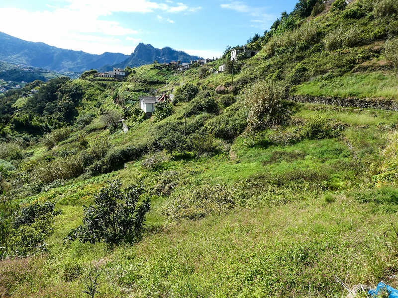 06.05.2019 Über den Pico da Coroa und die Boca do Risco — Auf der Levada do Poco do Arvoredo — Foto 2