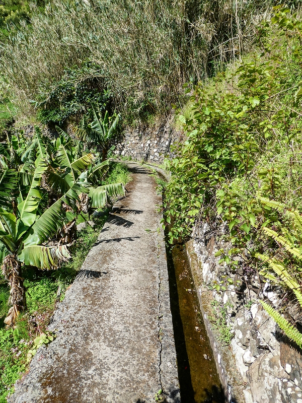 06.05.2019 Über den Pico da Coroa und die Boca do Risco — Auf der Levada do Poco do Arvoredo — Foto 4