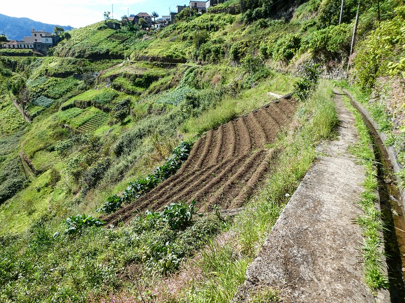 06.05.2019 Über den Pico da Coroa und die Boca do Risco — Auf der Levada do Poco do Arvoredo — Foto 5