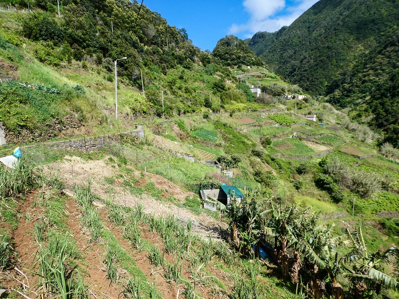 06.05.2019 Über den Pico da Coroa und die Boca do Risco — Auf der Levada do Poco do Arvoredo — Foto 6