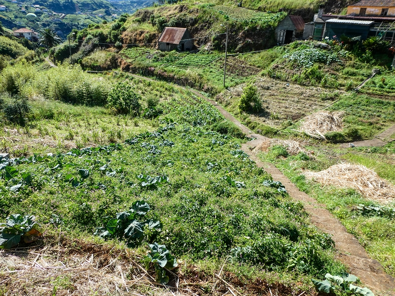 06.05.2019 Über den Pico da Coroa und die Boca do Risco — Abstieg nach Maiata de Baixo — Foto 2