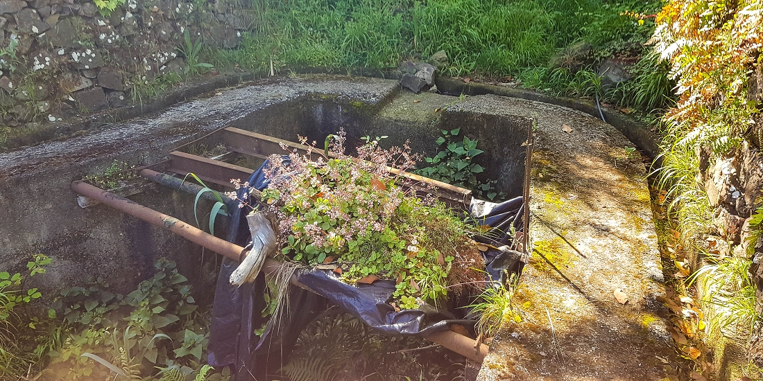 06.05.2019 Über den Pico da Coroa und die Boca do Risco — Von Maiata über Mostardal zur Levada da Fajazinha und zum Reservoir — Foto 17