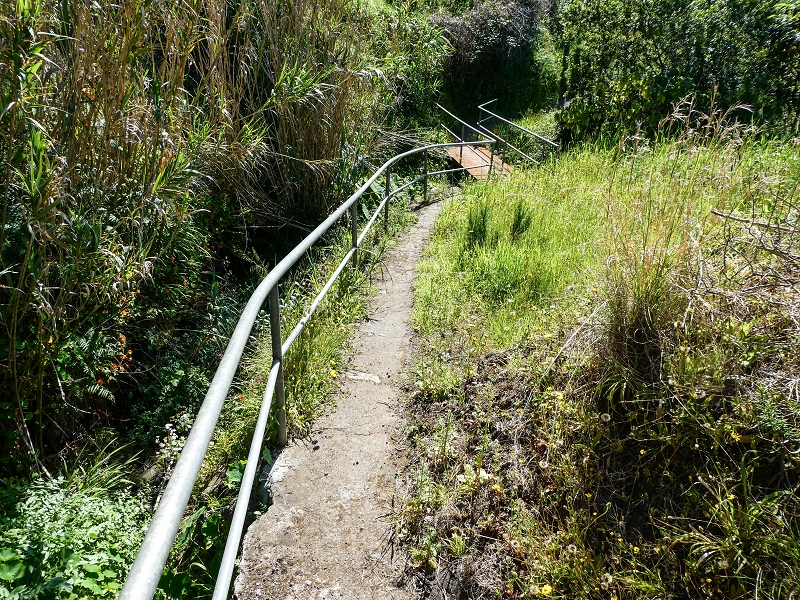 06.05.2019 Über den Pico da Coroa und die Boca do Risco — Abstieg nach Maiata de Baixo — Foto 6