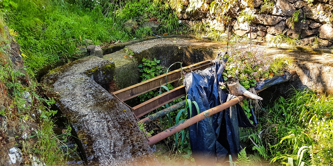 06.05.2019 Über den Pico da Coroa und die Boca do Risco — Von Maiata über Mostardal zur Levada da Fajazinha und zum Reservoir — Foto 18