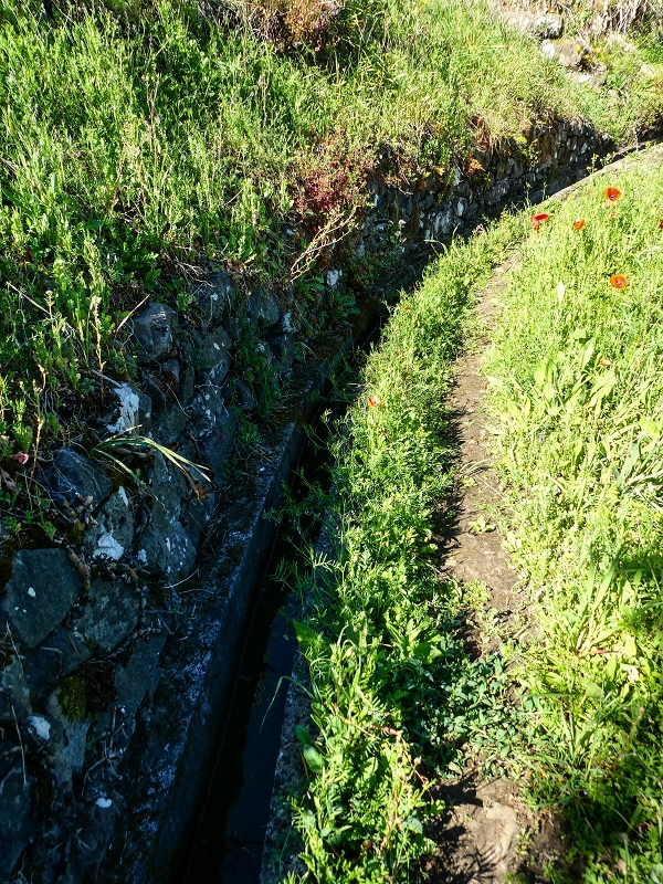 06.05.2019 Über den Pico da Coroa und die Boca do Risco — Von Maiata über Mostardal zur Levada da Fajazinha und zum Reservoir — Foto 19