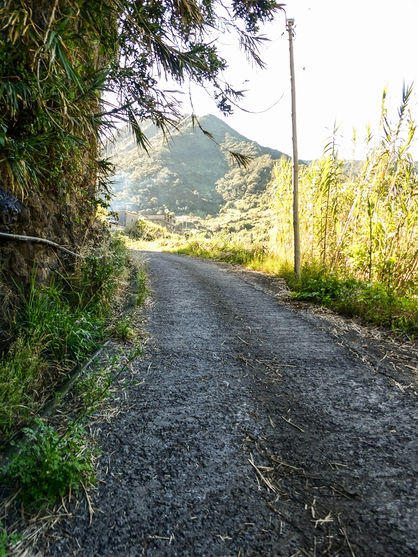 06.05.2019 Über den Pico da Coroa und die Boca do Risco — Von Maiata über Mostardal zur Levada da Fajazinha und zum Reservoir — Foto 2