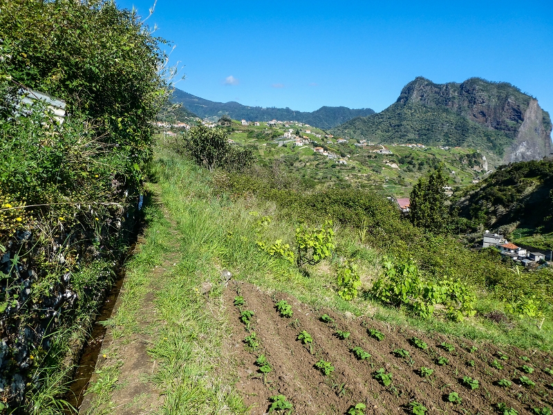 06.05.2019 Über den Pico da Coroa und die Boca do Risco — Von Maiata über Mostardal zur Levada da Fajazinha und zum Reservoir — Foto 20