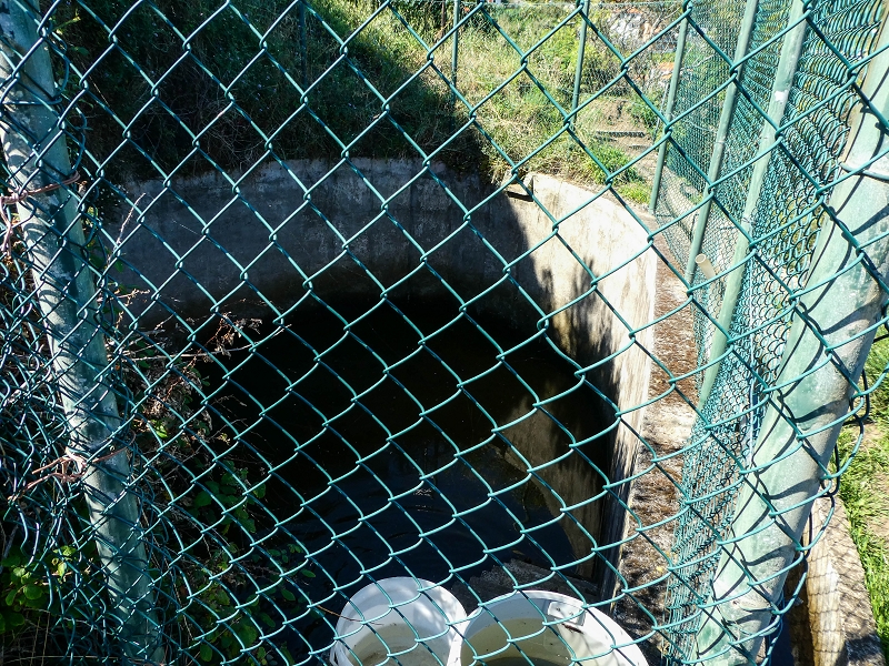 06.05.2019 Über den Pico da Coroa und die Boca do Risco — Von Maiata über Mostardal zur Levada da Fajazinha und zum Reservoir — Foto 23