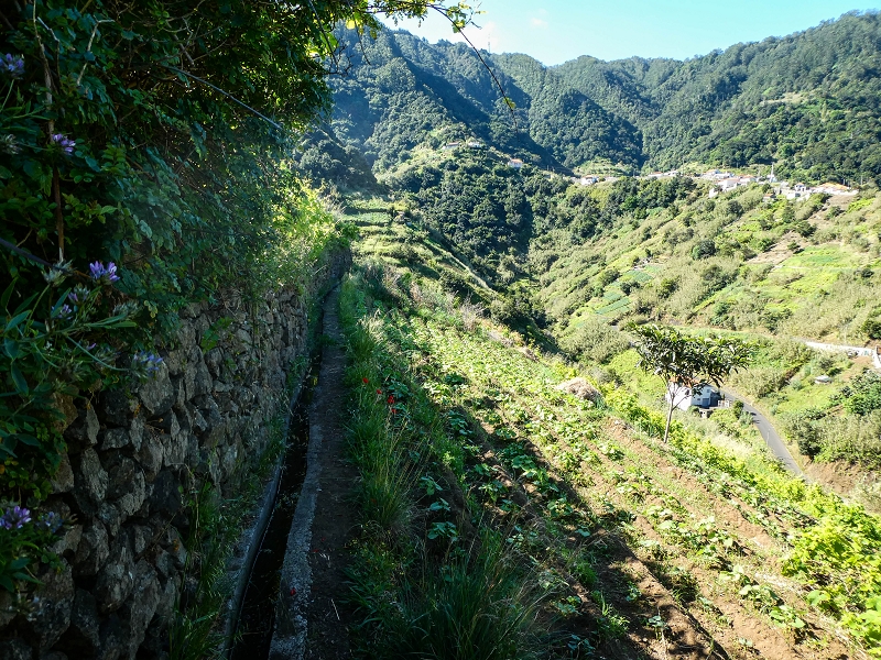 06.05.2019 Über den Pico da Coroa und die Boca do Risco — Von Maiata über Mostardal zur Levada da Fajazinha und zum Reservoir — Foto 24