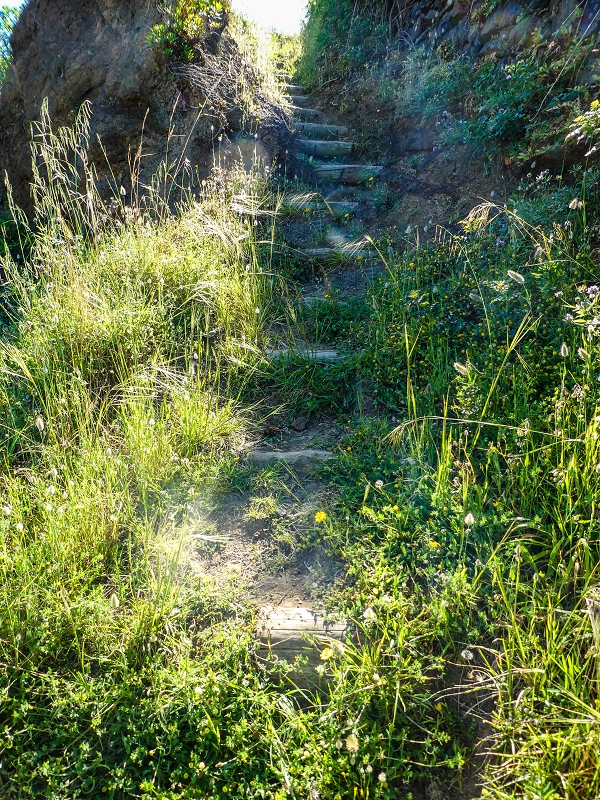 06.05.2019 Über den Pico da Coroa und die Boca do Risco — Weiter auf der steilen Vereda do Lombinho — Foto 2