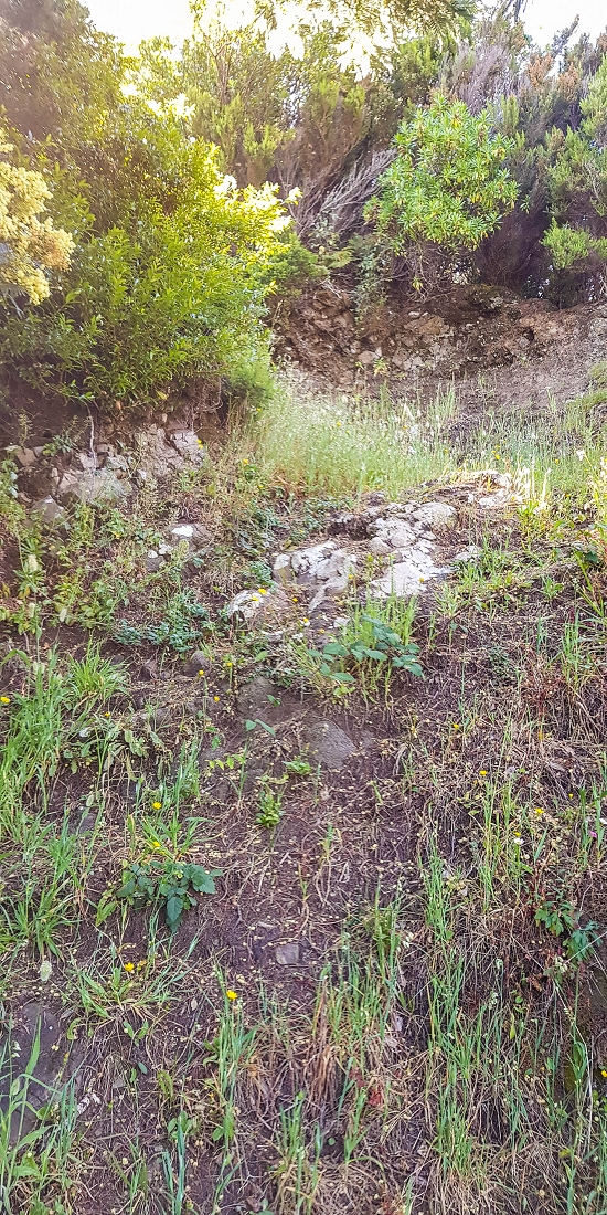 06.05.2019 Über den Pico da Coroa und die Boca do Risco — Weiter auf der steilen Vereda do Lombinho — Foto 5