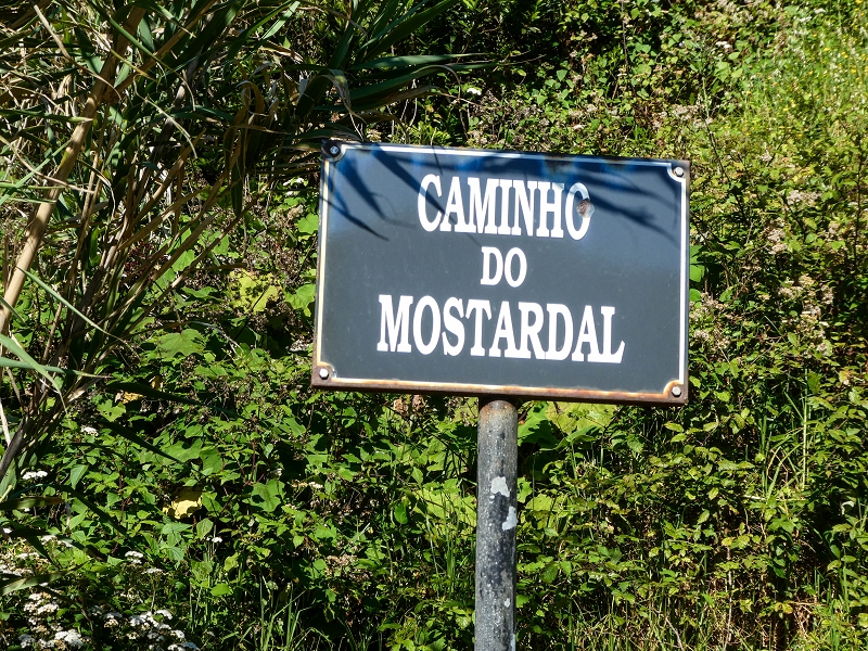 06.05.2019 Über den Pico da Coroa und die Boca do Risco — Von Maiata über Mostardal zur Levada da Fajazinha und zum Reservoir — Foto 3