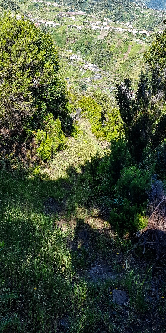 06.05.2019 Über den Pico da Coroa und die Boca do Risco — Weiter auf der steilen Vereda do Lombinho — Foto 6