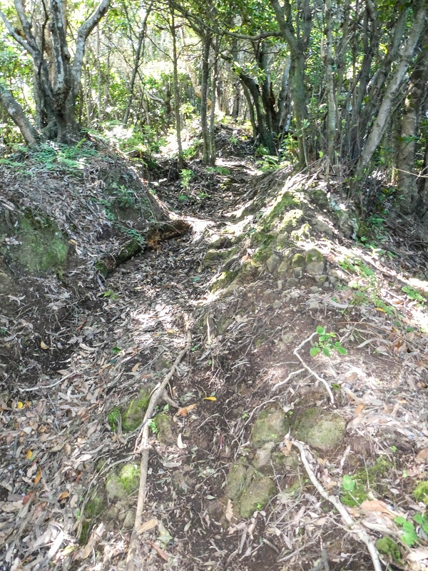 06.05.2019 Über den Pico da Coroa und die Boca do Risco — Weiter auf der steilen Vereda do Lombinho — Foto 12