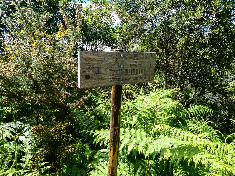 06.05.2019 Über den Pico da Coroa und die Boca do Risco — Weiter auf der steilen Vereda do Lombinho — Foto 13