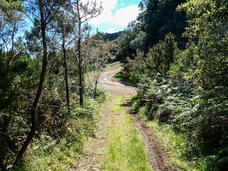 06.05.2019 Über den Pico da Coroa und die Boca do Risco — Weiter auf der steilen Vereda do Lombinho — Foto 15