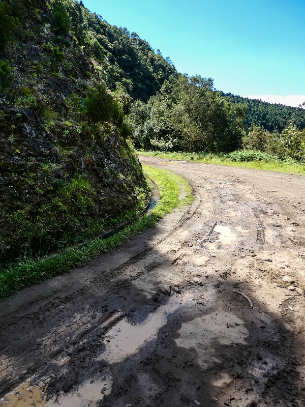 Levada do Poco do Arvoredo — Zufluss zum Betonbecken der Madre vom Endast der Levada da Portela — Foto 1