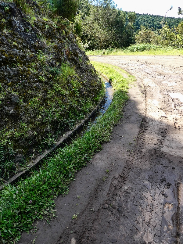 Levada do Poco do Arvoredo — Zufluss zum Betonbecken der Madre vom Endast der Levada da Portela — Foto 2
