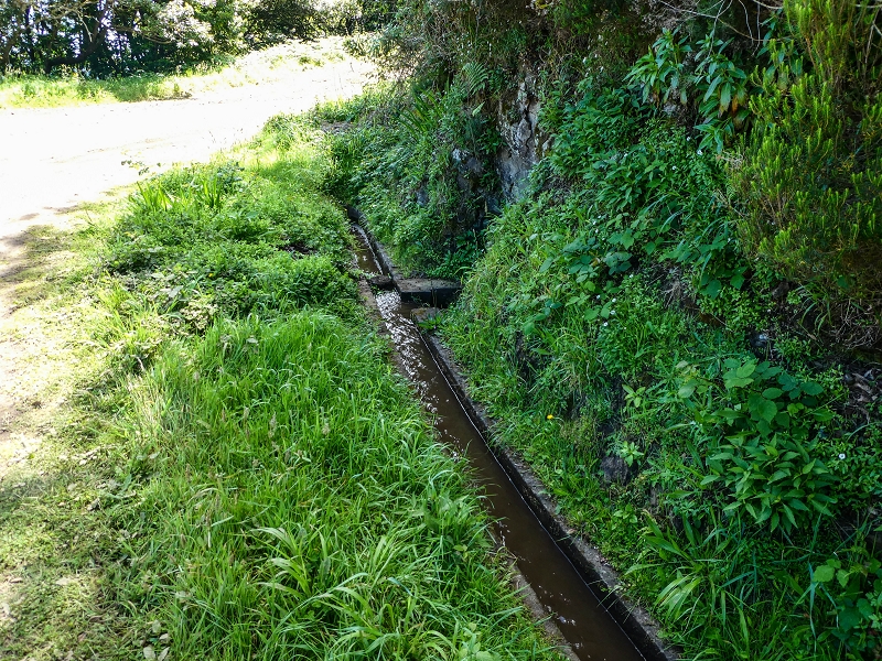 Levada do Poco do Arvoredo — Zufluss zum Betonbecken der Madre vom Endast der Levada da Portela — Foto 4