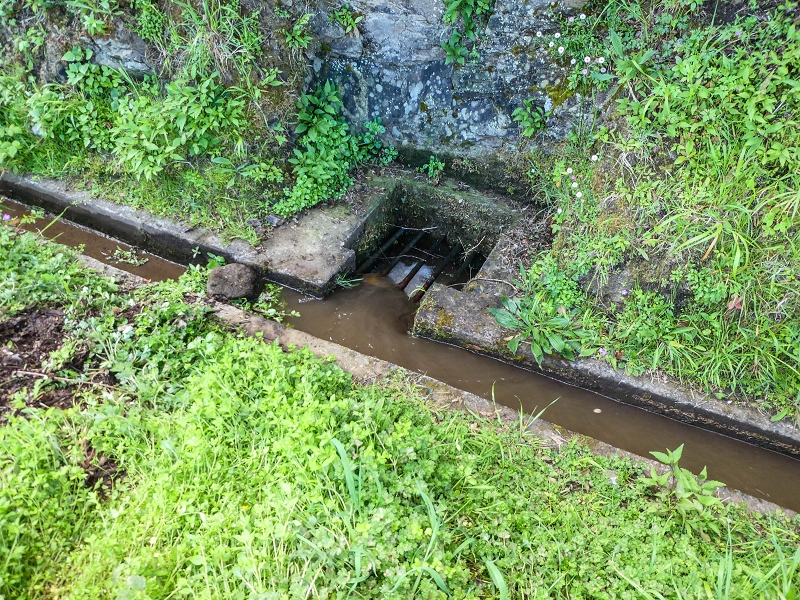 Levada do Poco do Arvoredo — Zufluss zum Betonbecken der Madre vom Endast der Levada da Portela — Foto 5