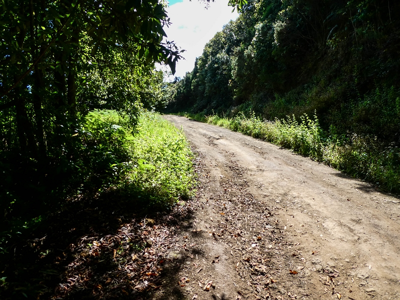 06.05.2019 Über den Pico da Coroa und die Boca do Risco — Weiter auf der Piste und dem schmalen Weg zum Cabeco da Lapa und Abstieg zum Caminho da Degolada — Foto 1