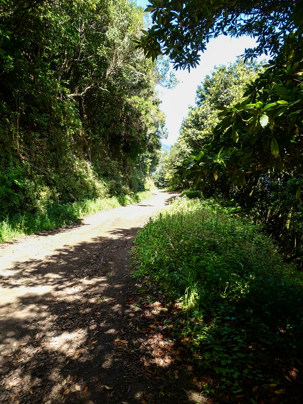06.05.2019 Über den Pico da Coroa und die Boca do Risco — Weiter auf der Piste und dem schmalen Weg zum Cabeco da Lapa und Abstieg zum Caminho da Degolada — Foto 2