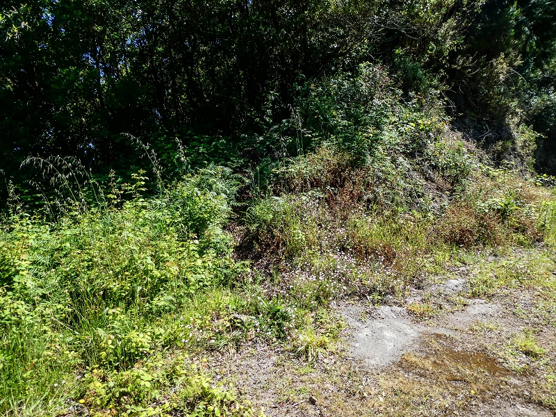 06.05.2019 Über den Pico da Coroa und die Boca do Risco — Weiter auf der Piste und dem schmalen Weg zum Cabeco da Lapa und Abstieg zum Caminho da Degolada — Foto 4