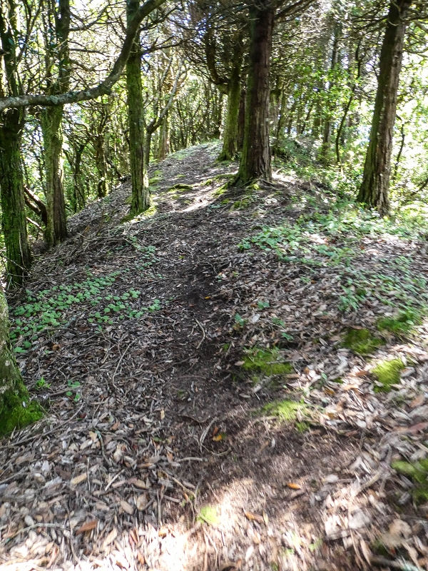 06.05.2019 Über den Pico da Coroa und die Boca do Risco — Weiter auf der Piste und dem schmalen Weg zum Cabeco da Lapa und Abstieg zum Caminho da Degolada — Foto 5