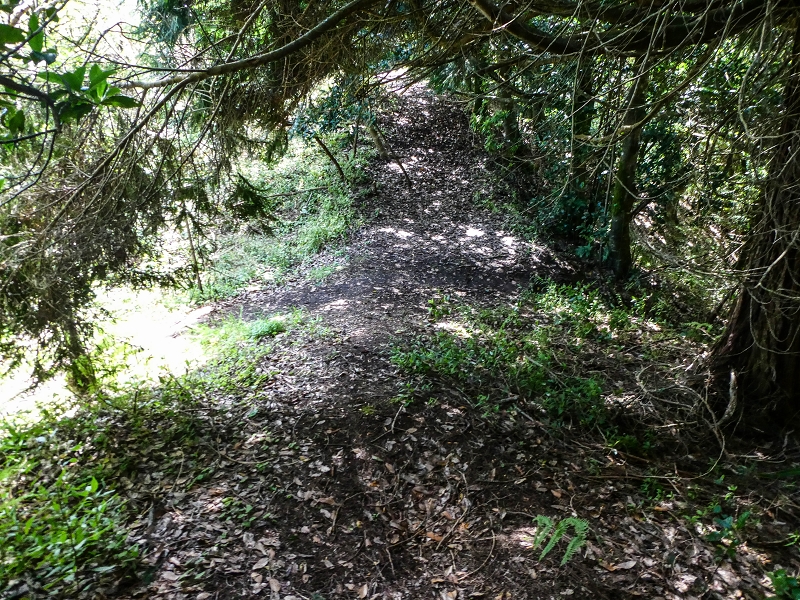 06.05.2019 Über den Pico da Coroa und die Boca do Risco — Weiter auf der Piste und dem schmalen Weg zum Cabeco da Lapa und Abstieg zum Caminho da Degolada — Foto 13