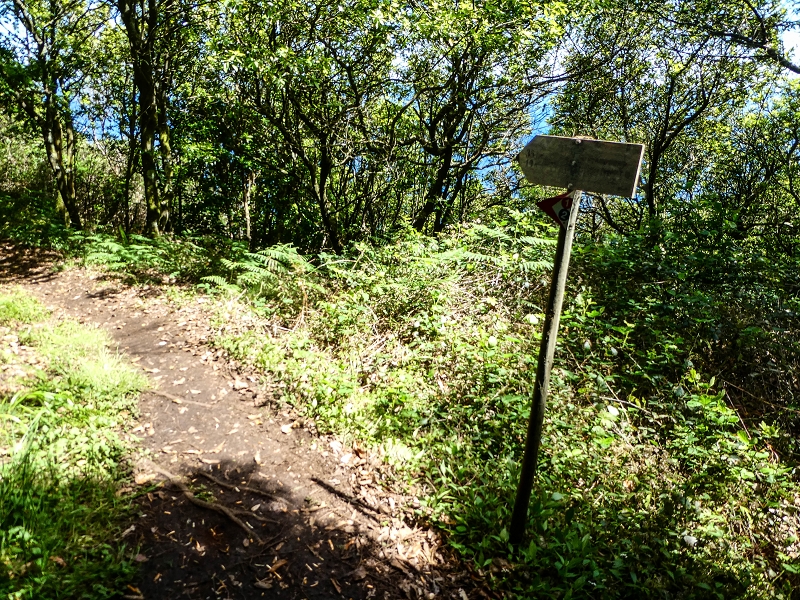 06.05.2019 Über den Pico da Coroa und die Boca do Risco — Weiter auf der Piste und dem schmalen Weg zum Cabeco da Lapa und Abstieg zum Caminho da Degolada — Foto 14