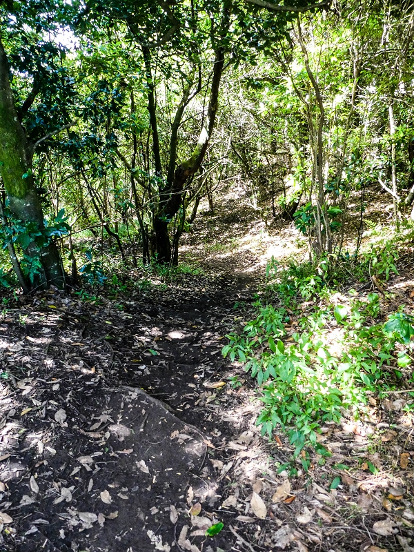 06.05.2019 Über den Pico da Coroa und die Boca do Risco — Zum Pico da Coroa und Abstieg über den Larano zur Casa das Funduras — Foto 1
