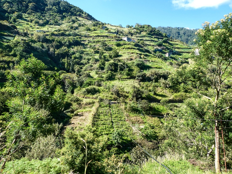 06.05.2019 Über den Pico da Coroa und die Boca do Risco — Von Maiata über Mostardal zur Levada da Fajazinha und zum Reservoir — Foto 6
