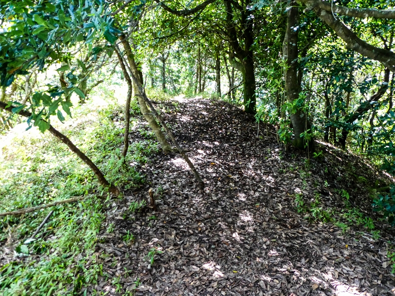 06.05.2019 Über den Pico da Coroa und die Boca do Risco — Zum Pico da Coroa und Abstieg über den Larano zur Casa das Funduras — Foto 2