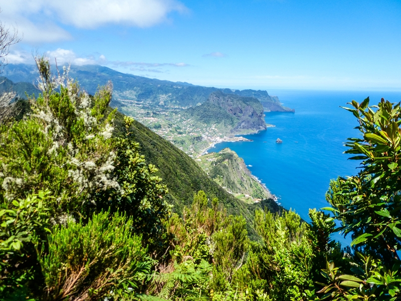 06.05.2019 Über den Pico da Coroa und die Boca do Risco — Zum Pico da Coroa und Abstieg über den Larano zur Casa das Funduras — Foto 11
