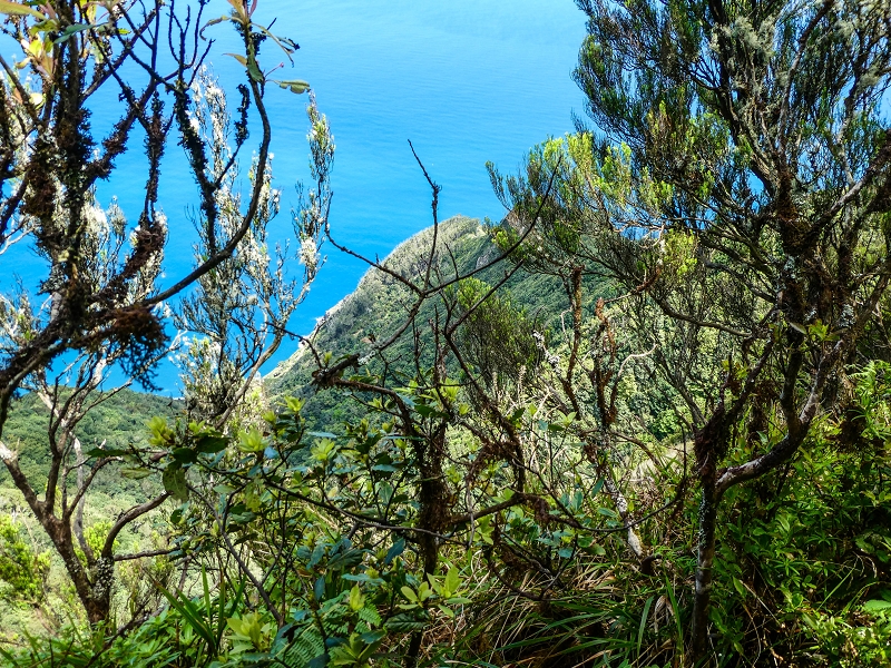 06.05.2019 Über den Pico da Coroa und die Boca do Risco — Zum Pico da Coroa und Abstieg über den Larano zur Casa das Funduras — Foto 13