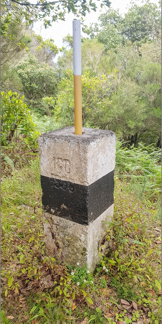 06.05.2019 Über den Pico da Coroa und die Boca do Risco — Zum Pico da Coroa und Abstieg über den Larano zur Casa das Funduras — Foto 16