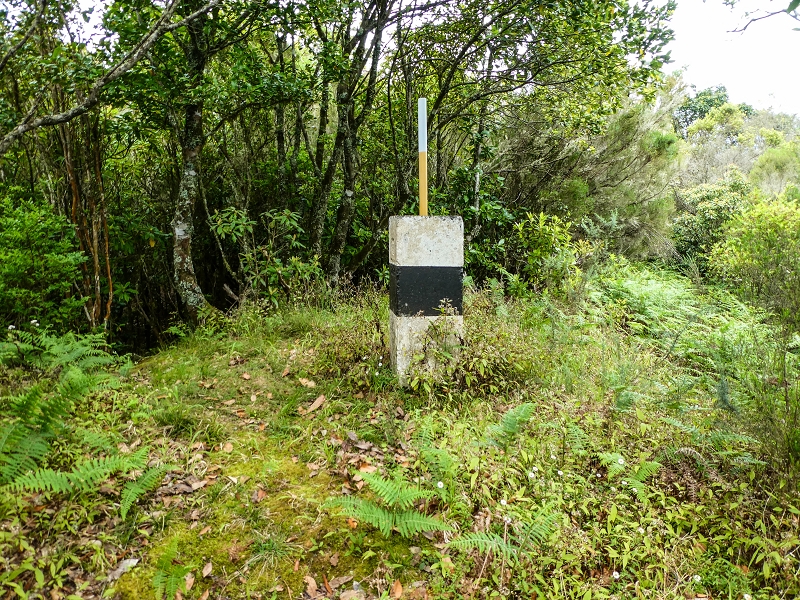 06.05.2019 Über den Pico da Coroa und die Boca do Risco — Zum Pico da Coroa und Abstieg über den Larano zur Casa das Funduras — Foto 17