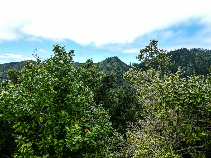 06.05.2019 Über den Pico da Coroa und die Boca do Risco — Auf dem Estrada Florestal da Serra das Funduras zu dessen Ende und zum Aussichtspunkt über Ribeira Seca — Foto 1