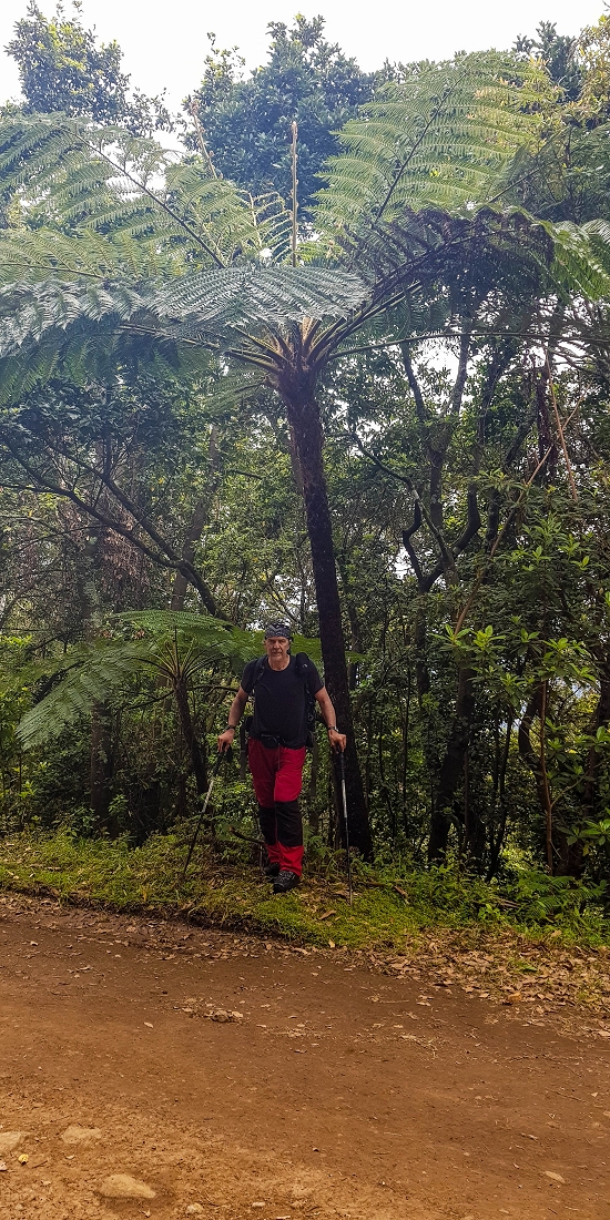 06.05.2019 Über den Pico da Coroa und die Boca do Risco — Auf dem Estrada Florestal da Serra das Funduras zu dessen Ende und zum Aussichtspunkt über Ribeira Seca — Foto 4